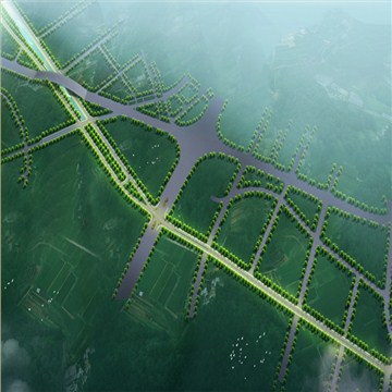 佛山某地道路规划设计