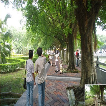 大岭山镇新塘村美丽幸福村居建设行动计划