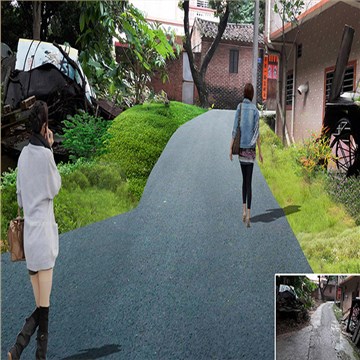 大岭山镇新塘村美丽幸福村居建设行动计划