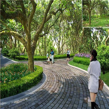 大岭山镇新塘村美丽幸福村居建设行动计划