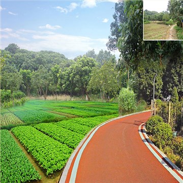 大岭山镇新塘村美丽幸福村居建设行动计划