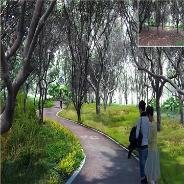 大岭山镇新塘村美丽幸福村居建设行动计划