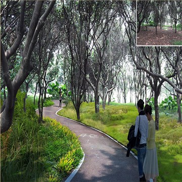 美丽幸福村居建设行动计划