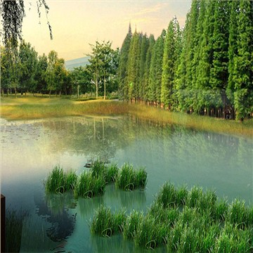 东莞轻轨车站站前绿地公园景观设计方案