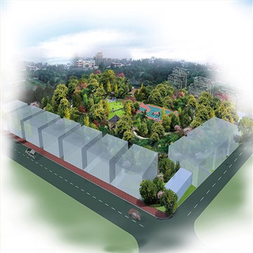 东莞市横沥镇某村特色小镇规划设计方案