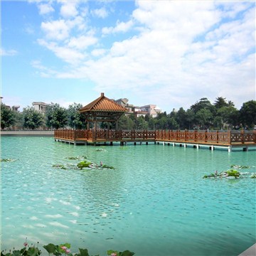 东莞某村村口水塘改造园林景观设计方案