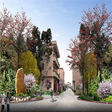 东莞市洪梅镇某村庄塑造工程项目整体规划 东莞市洪梅镇某村庄塑造工程项目整体规划