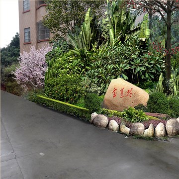 东莞市高埗镇宝莲村美丽幸福村居设计方案 东莞市高埗镇宝莲村美丽幸福村居设计方案